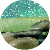 bionsen shizen revive mini